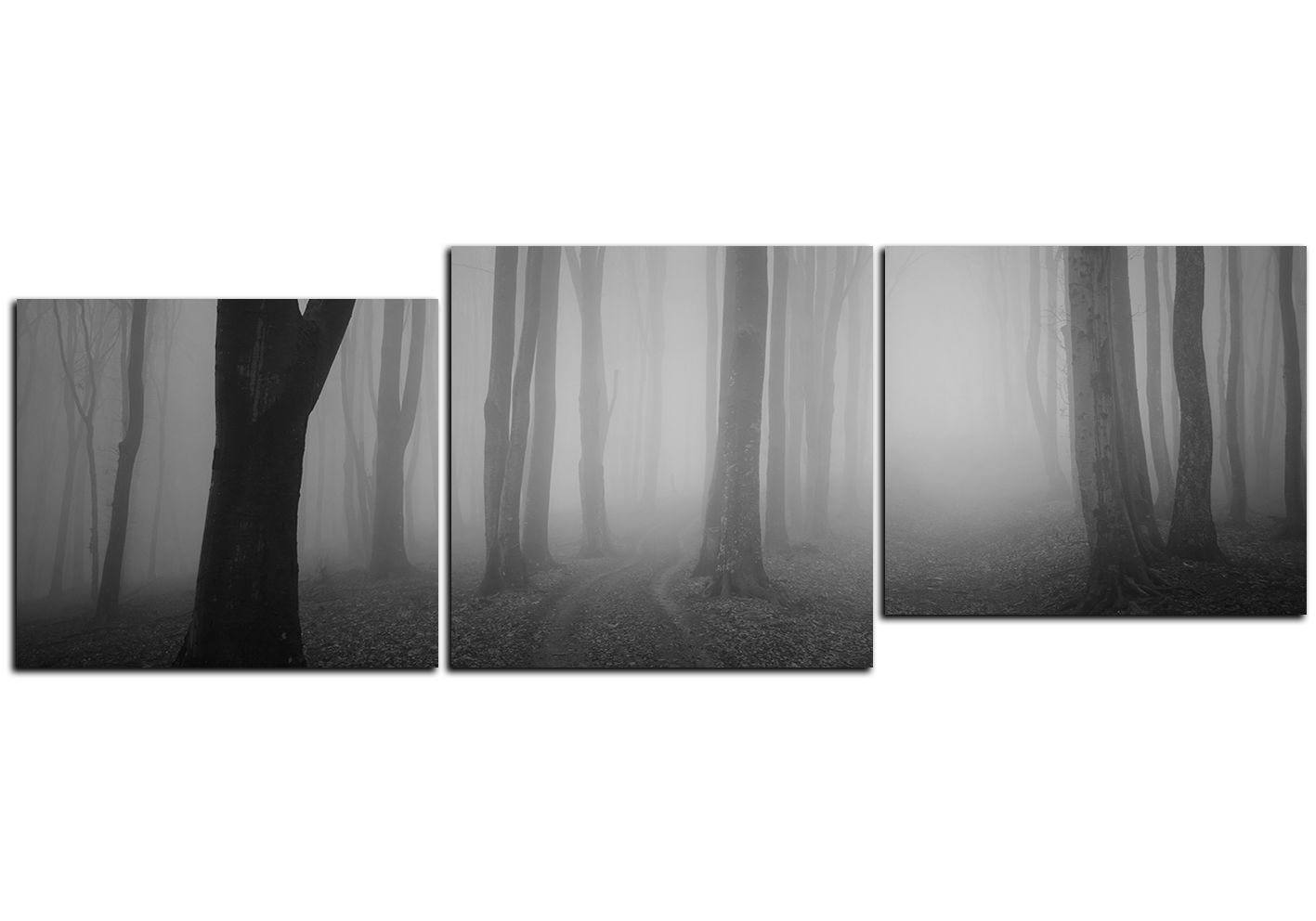 Obraz na plátně - Mlha v lese - panoráma Obraz na plátně - Mlha v lese - panoráma